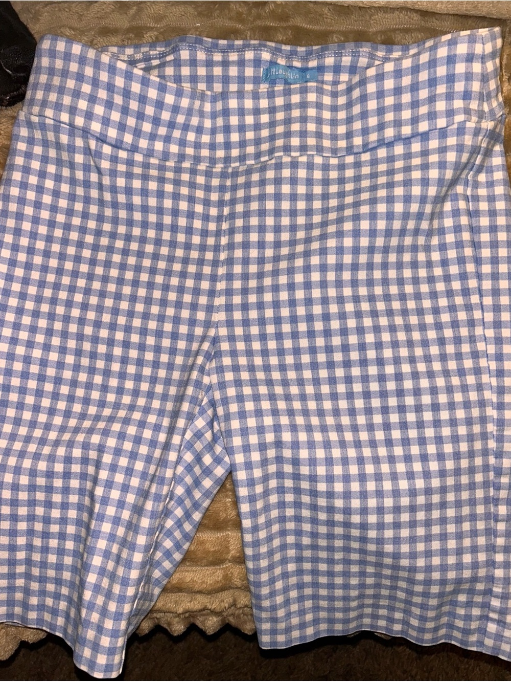 Light Blue and White Gingham Shorts